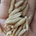 丹参，丹参片，丹参段，山东丹参，纯干无硫自产自销
