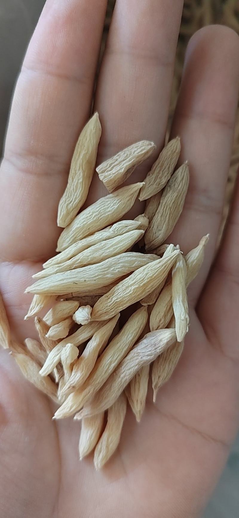 丹参，丹参片，丹参段，山东丹参，纯干无硫自产自销