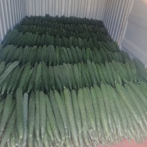 大降价了