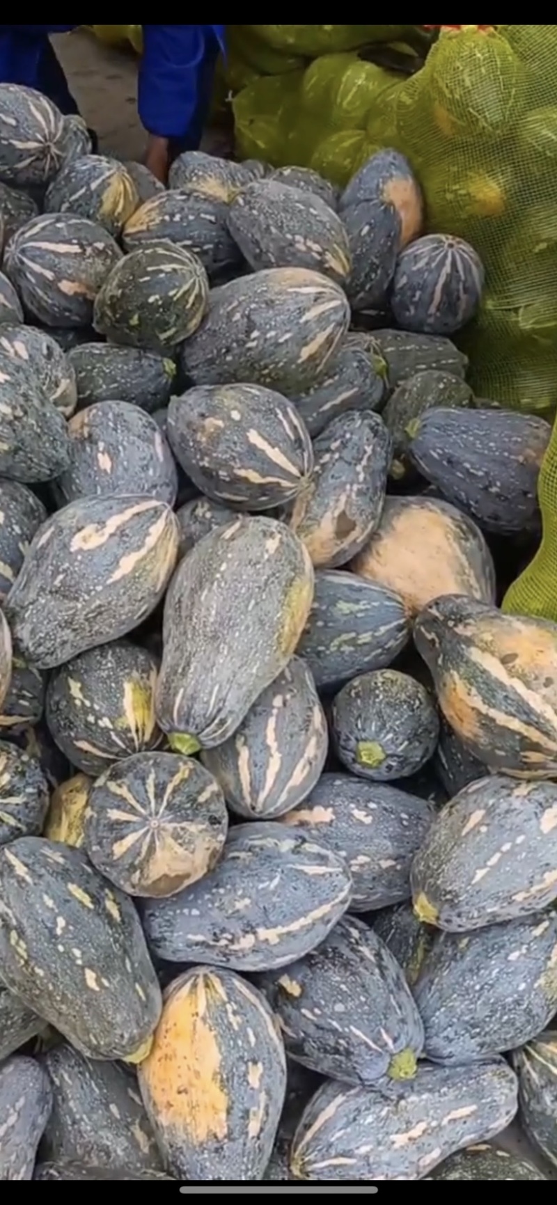 贵州香芋南瓜，持久浓香型，长年足量供应，一手货源价格优惠