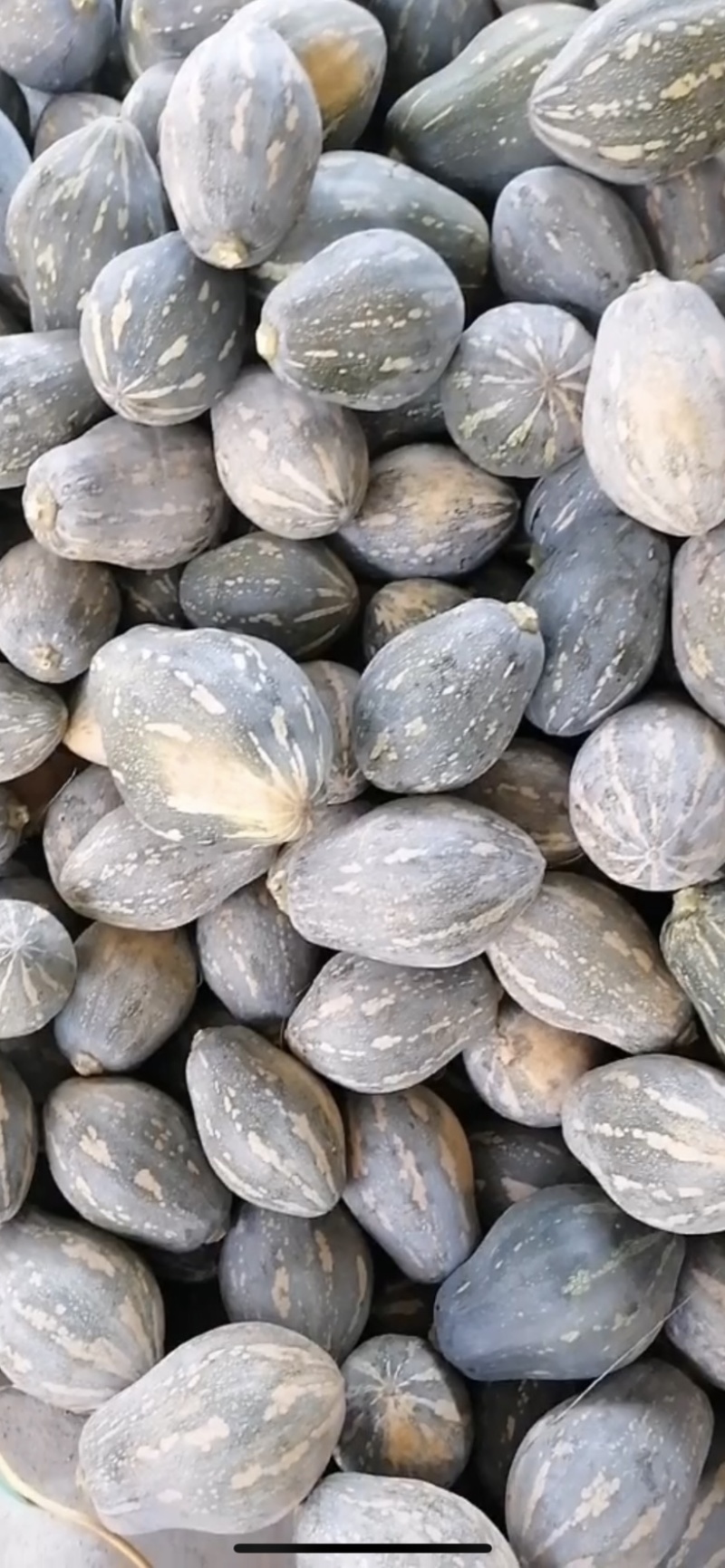 贵州香芋南瓜，持久浓香型，长年足量供应，一手货源价格优惠