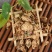 野生蔷薇花白残花干花现货实拍干净无杂非花茶