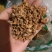 野生蔷薇花白残花干花现货实拍干净无杂非花茶