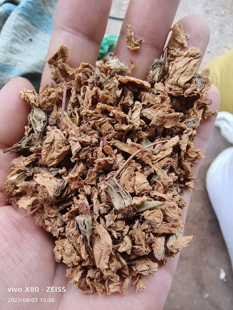 野生蔷薇花白残花干花现货实拍干净无杂非花茶