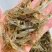 鲜活河虾小河虾青虾河虾青虾河虾2-3公分虾河虾
