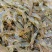 鲜活河虾小河虾青虾河虾青虾河虾2-3公分虾河虾