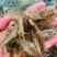 鲜活河虾小河虾青虾河虾青虾河虾2-3公分虾河虾