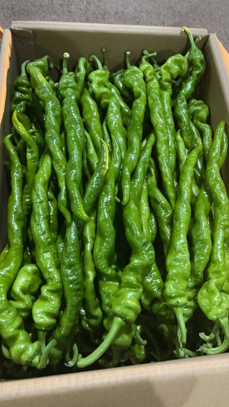 螺丝椒