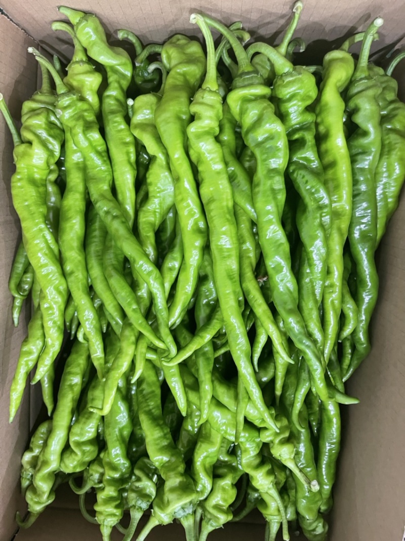 螺丝椒