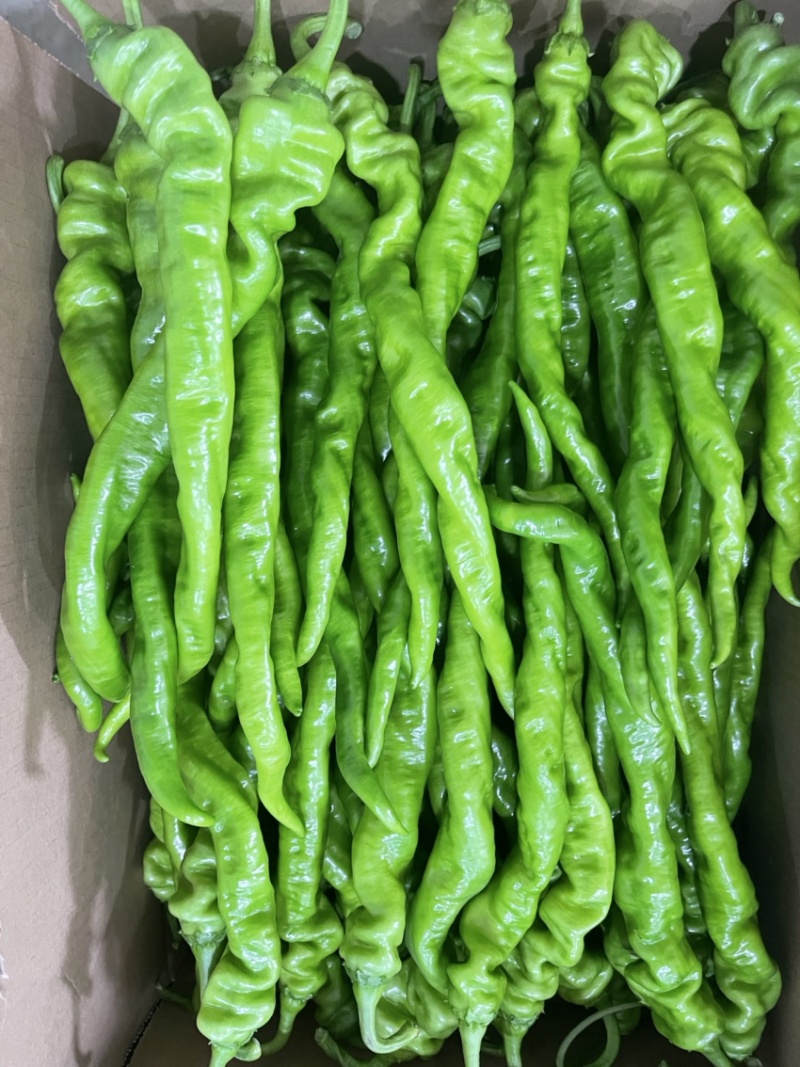 螺丝椒