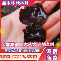 【推荐】东北黑木耳小碗木耳干货电商供货一件代发