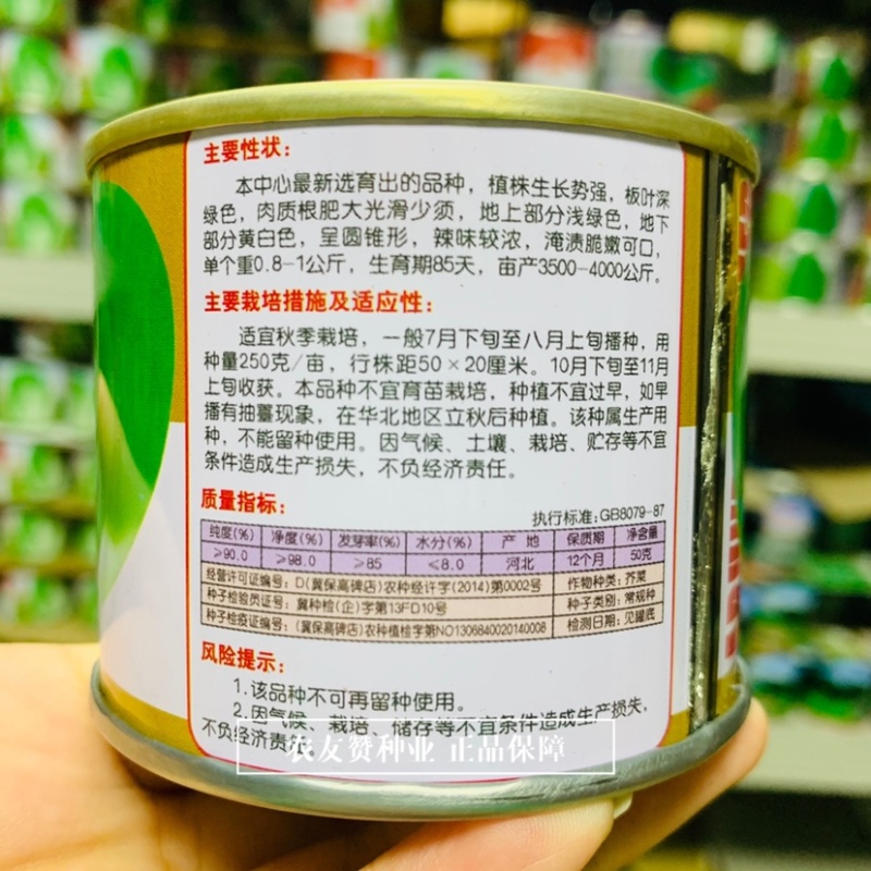 光头芥菜种子辣疙瘩芥菜疙瘩种子纤维少板叶光芥种子