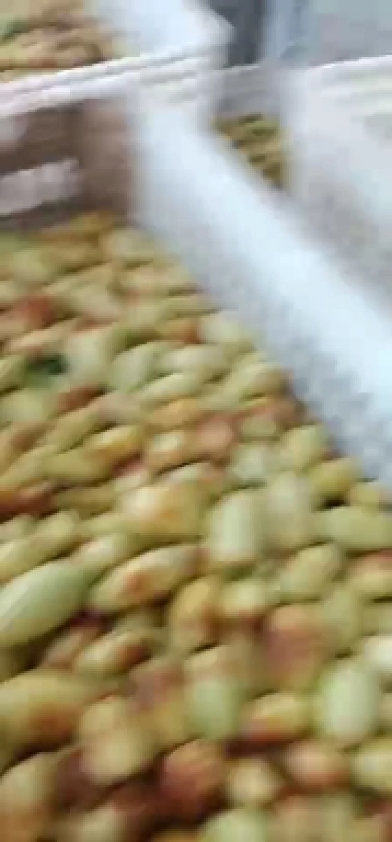 精选马牙枣鲜枣，大量上市商超品质，可长期供货，实力代收
