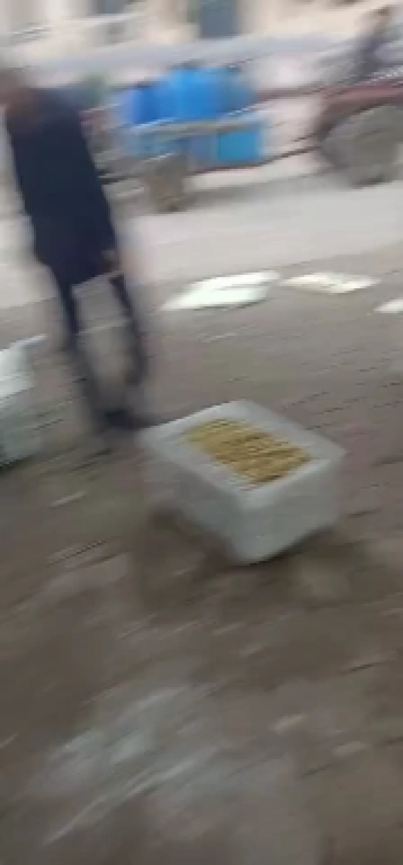 精选马牙枣鲜枣，大量上市商超品质，可长期供货，实力代收