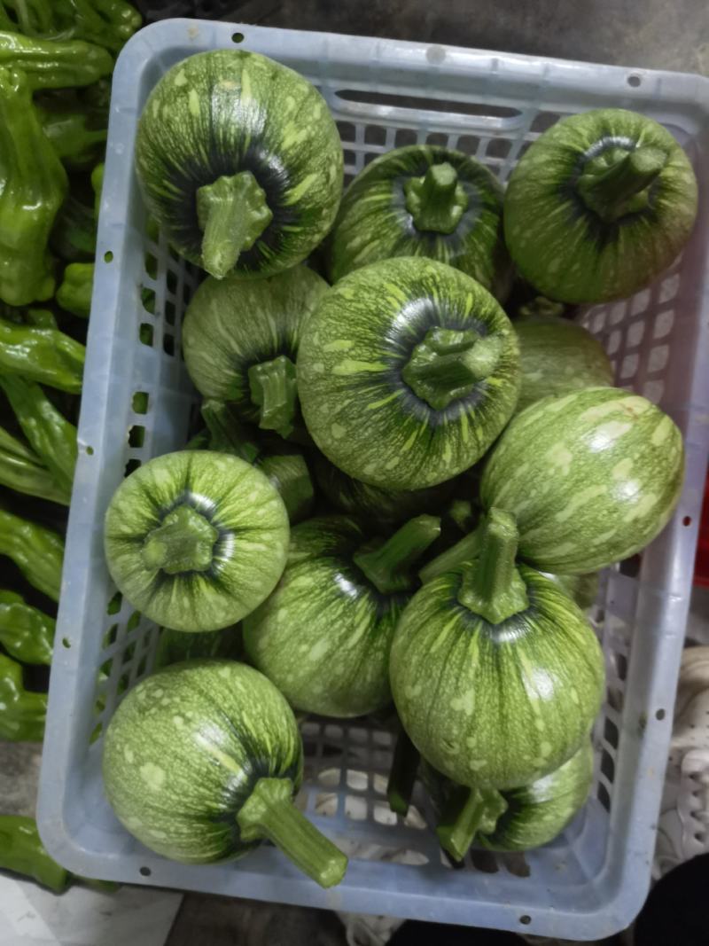 小南瓜