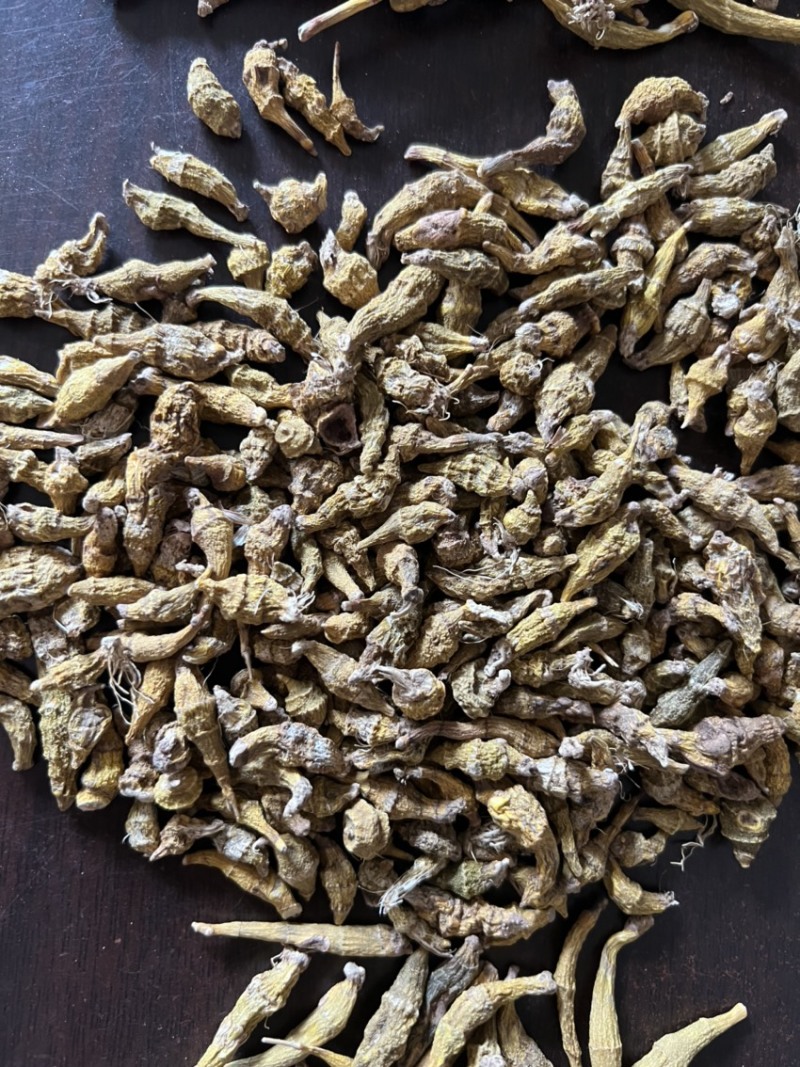 虎牙石斛