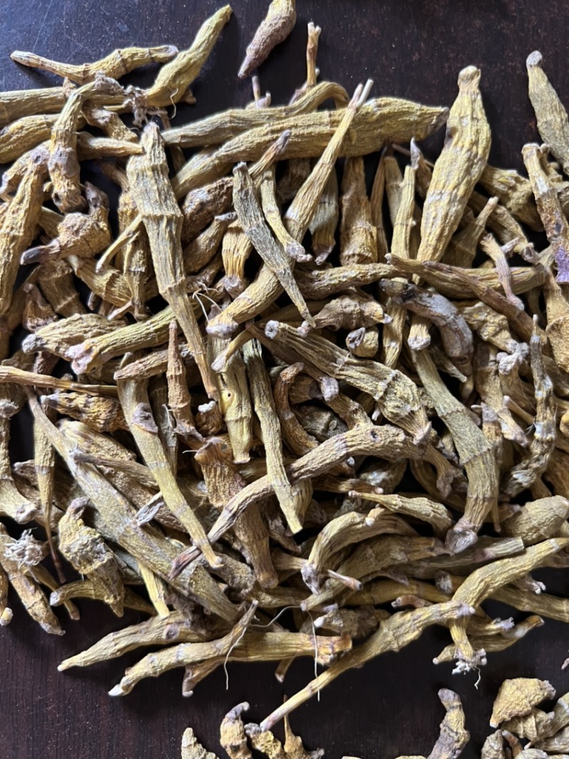虎牙石斛