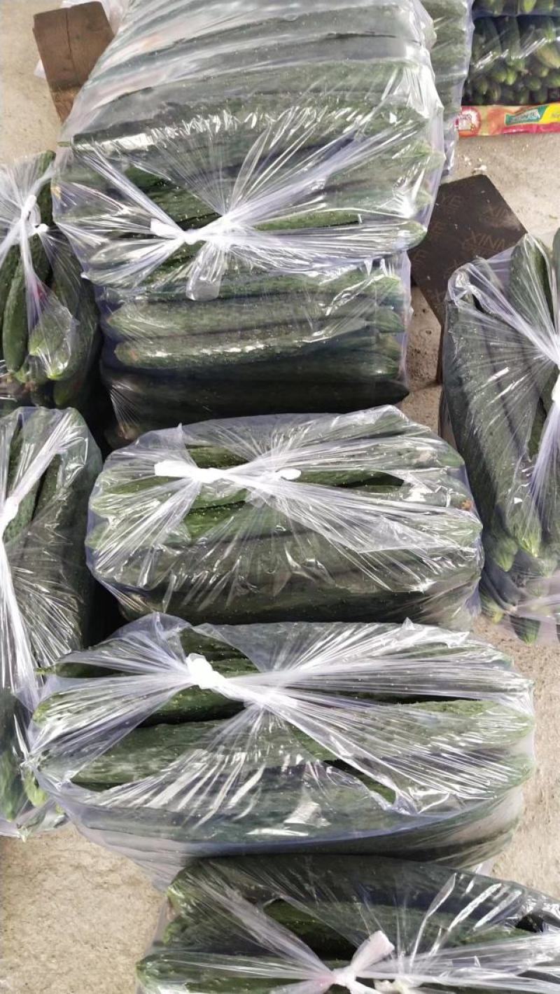 湖北利川刺黄瓜，优质黄瓜，保质保量，新鲜蔬菜，大量上市中
