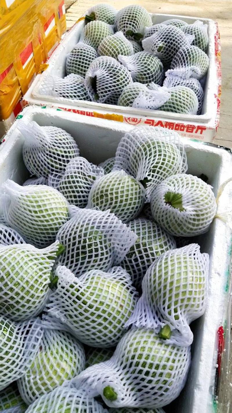 小南瓜