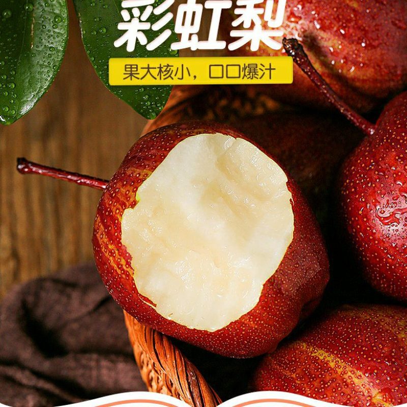 彩虹梨早酥梨电商对接一件代发供应链落地配社区团购