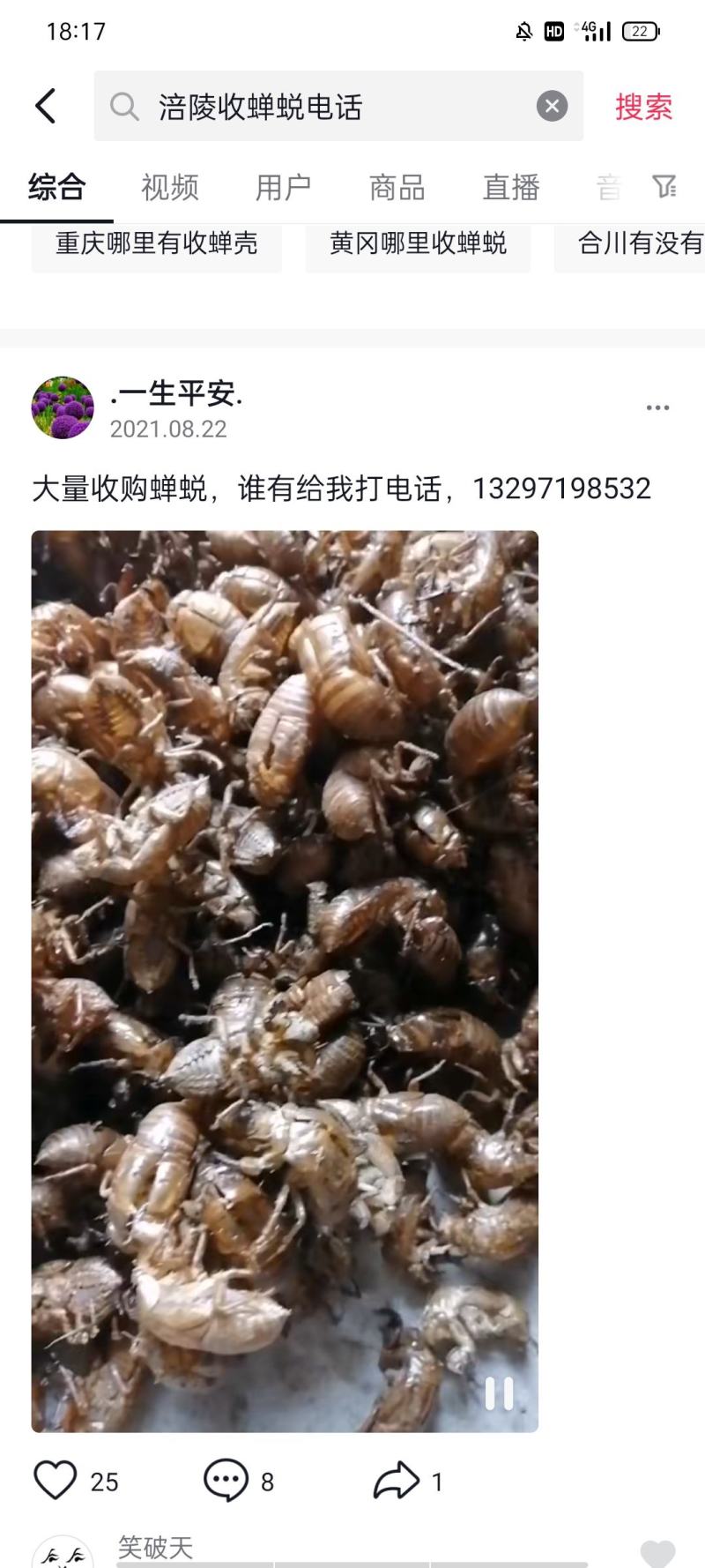 重庆山货蝉蜕