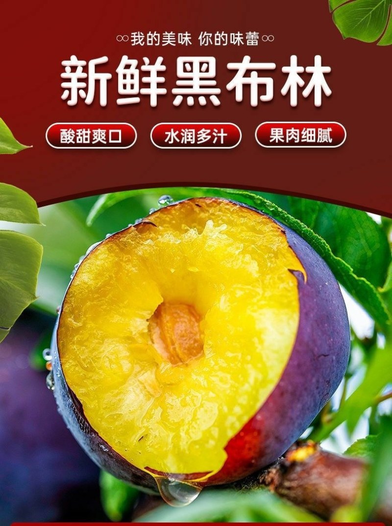 包邮）陕西黑布林新鲜10斤整箱应季酸甜孕妇水果三华李子