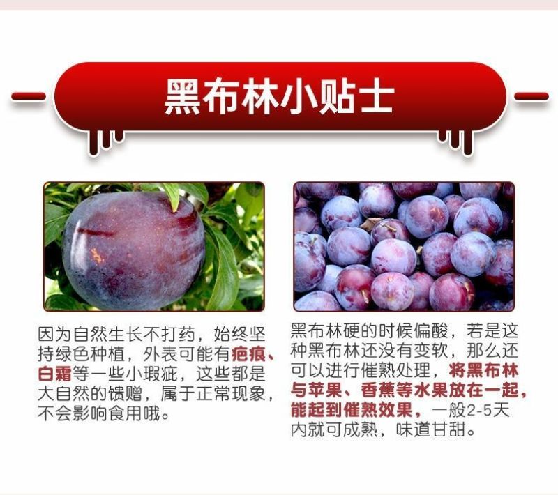 包邮）陕西黑布林新鲜10斤整箱应季酸甜孕妇水果三华李子