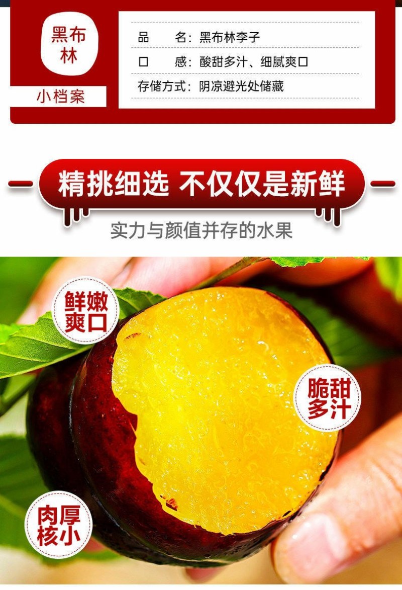 包邮）陕西黑布林新鲜10斤整箱应季酸甜孕妇水果三华李子