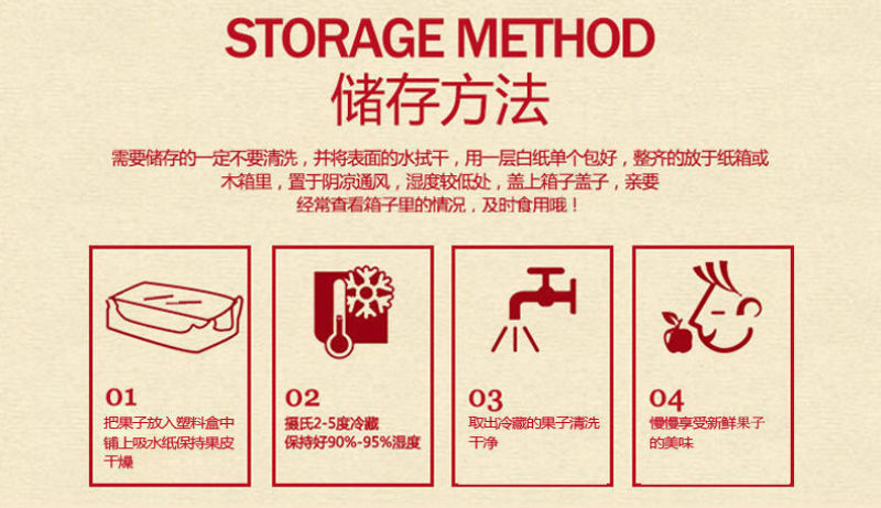 包邮）陕西黑布林新鲜10斤整箱应季酸甜孕妇水果三华李子