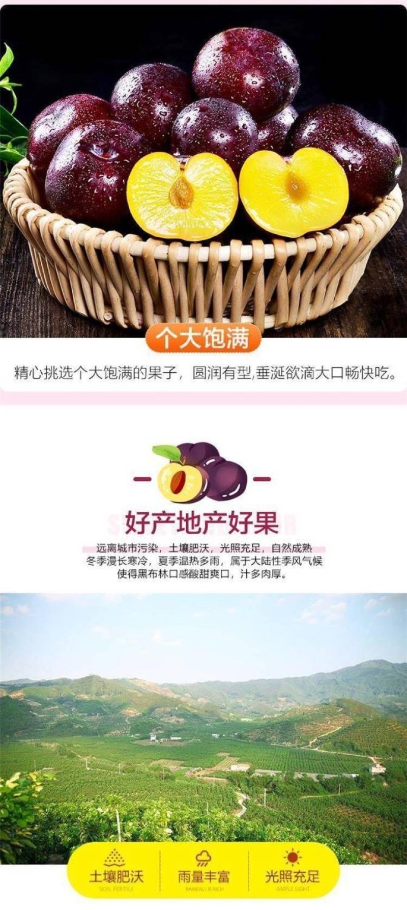 包邮）陕西黑布林新鲜10斤整箱应季酸甜孕妇水果三华李子