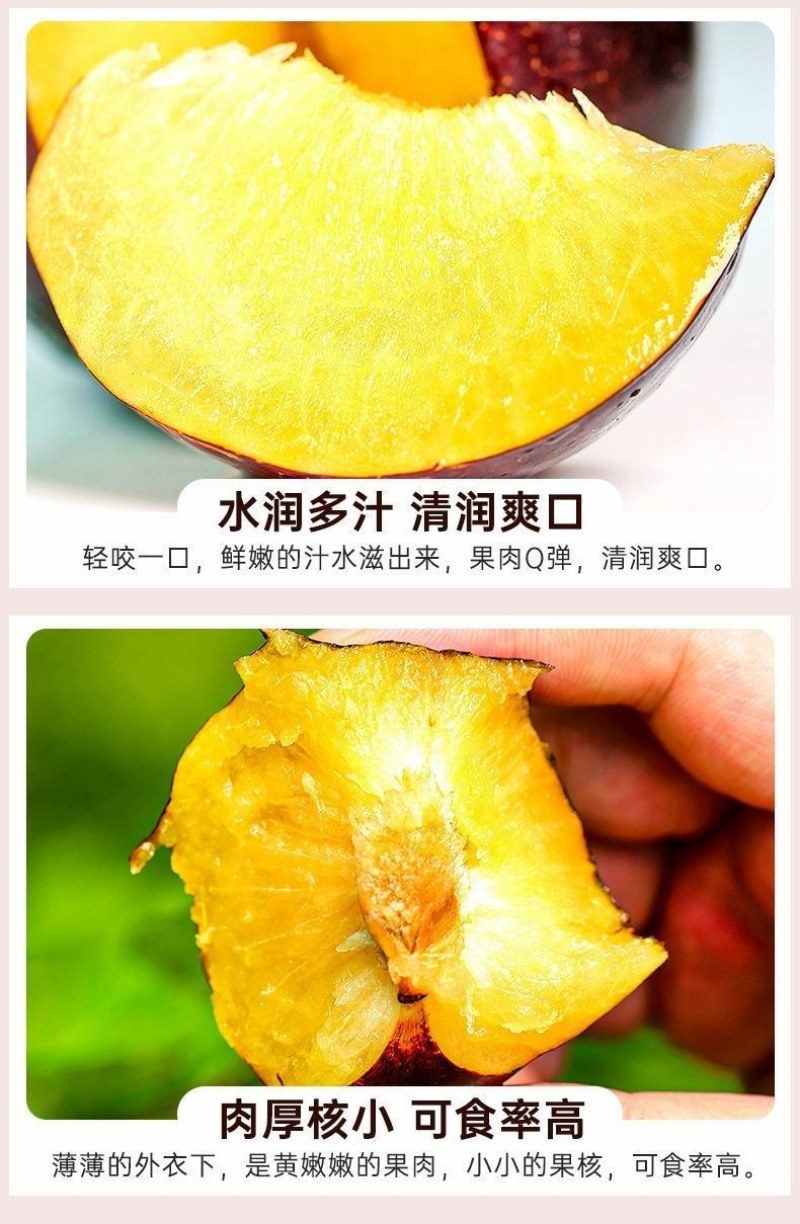 包邮）陕西黑布林新鲜10斤整箱应季酸甜孕妇水果三华李子