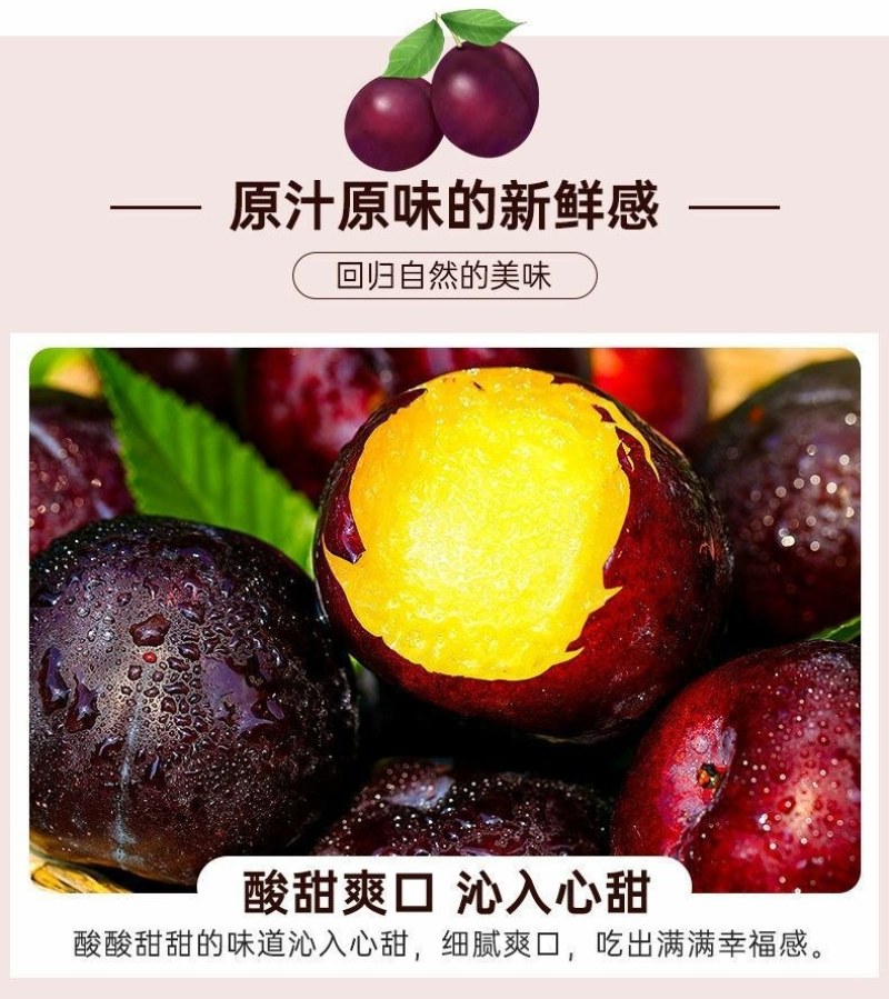 包邮）陕西黑布林新鲜10斤整箱应季酸甜孕妇水果三华李子