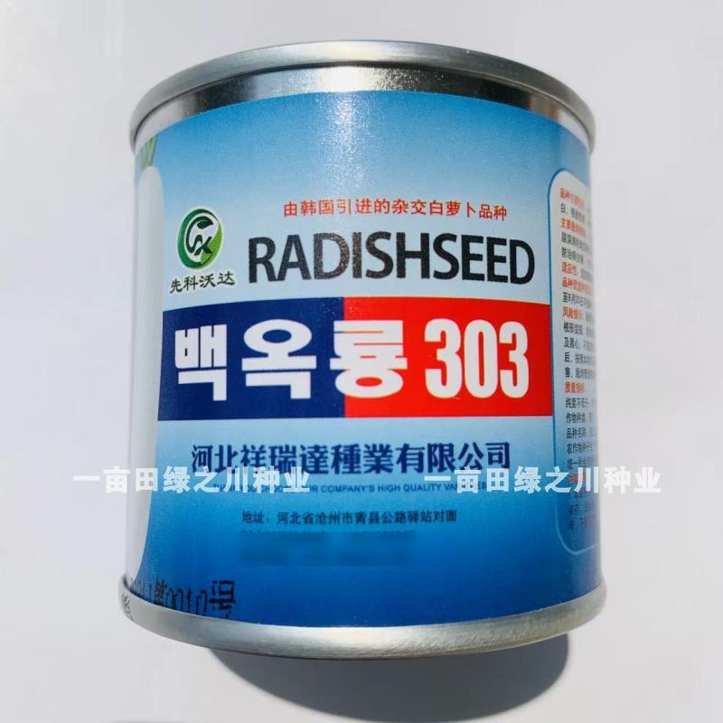 白玉303萝卜韩国引进杂交白萝卜种子圆筒形，根皮光滑