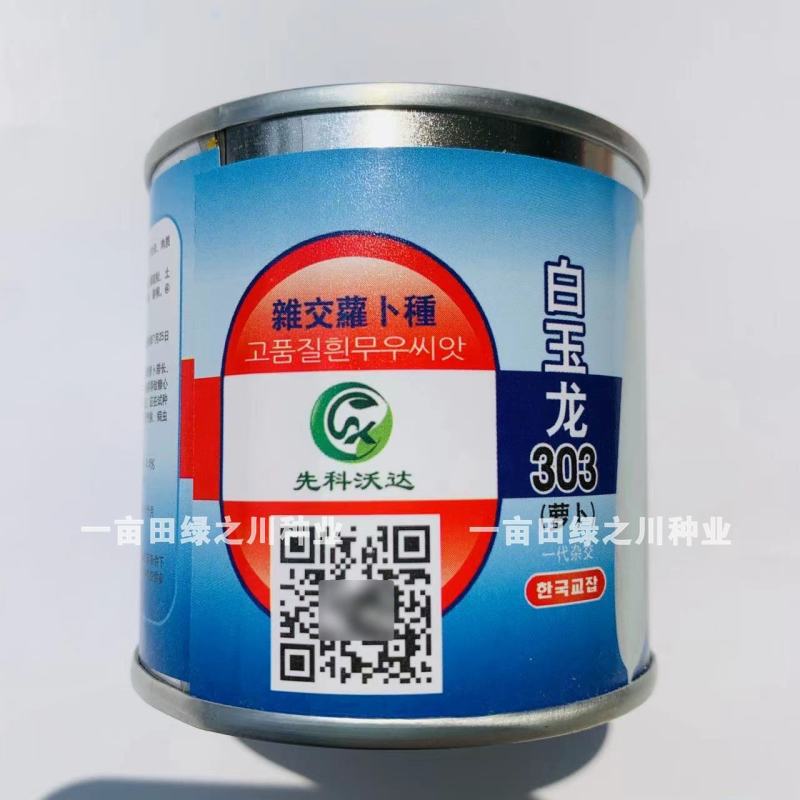 白玉303萝卜韩国引进杂交白萝卜种子圆筒形，根皮光滑