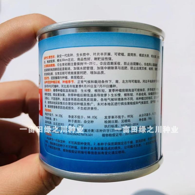 白玉303萝卜韩国引进杂交白萝卜种子圆筒形，根皮光滑