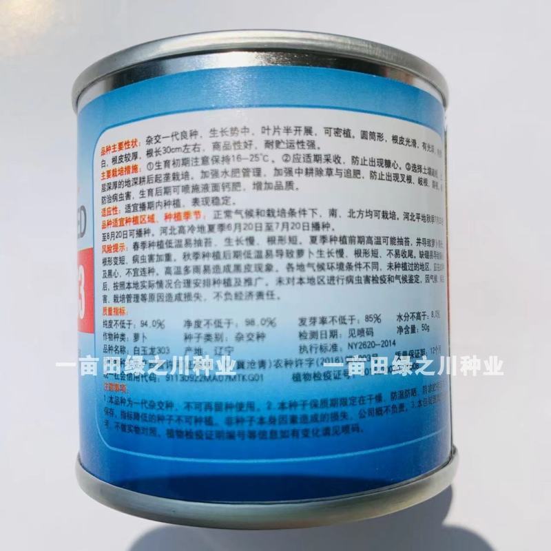 白玉303萝卜韩国引进杂交白萝卜种子圆筒形，根皮光滑