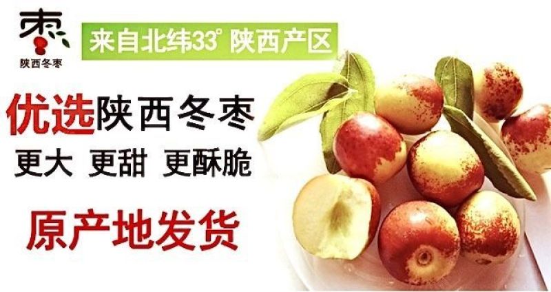 包邮【果园现摘】陕西大荔冬枣脆甜冬枣新鲜水果鲜枣大枣