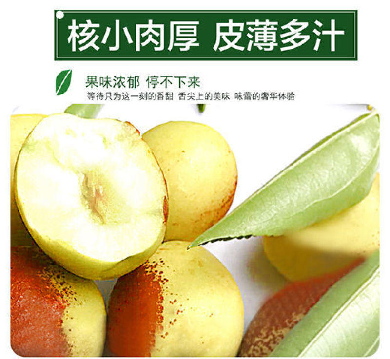 包邮【果园现摘】陕西大荔冬枣脆甜冬枣新鲜水果鲜枣大枣
