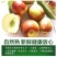 包邮【果园现摘】陕西大荔冬枣脆甜冬枣新鲜水果鲜枣大枣