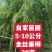 自家苗圃5-6-8-9-10公分金丝垂柳30亩河北绿曦苗