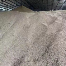 进口大豆