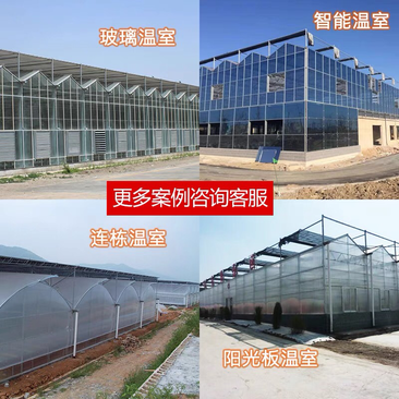 联动温室大棚简易蔬菜大棚养殖大棚玻璃大棚等各种温室大棚