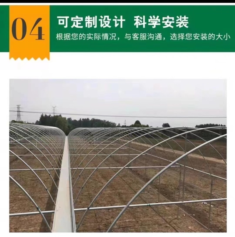 联动温室大棚简易蔬菜大棚养殖大棚玻璃大棚等各种温室大棚