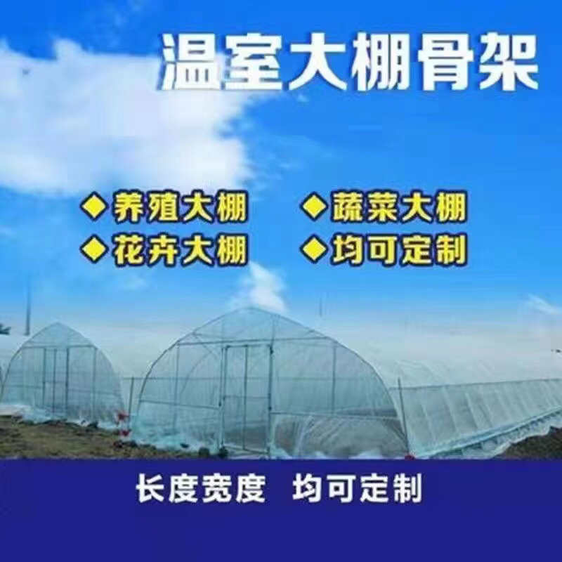 联动温室大棚简易蔬菜大棚养殖大棚玻璃大棚等各种温室大棚