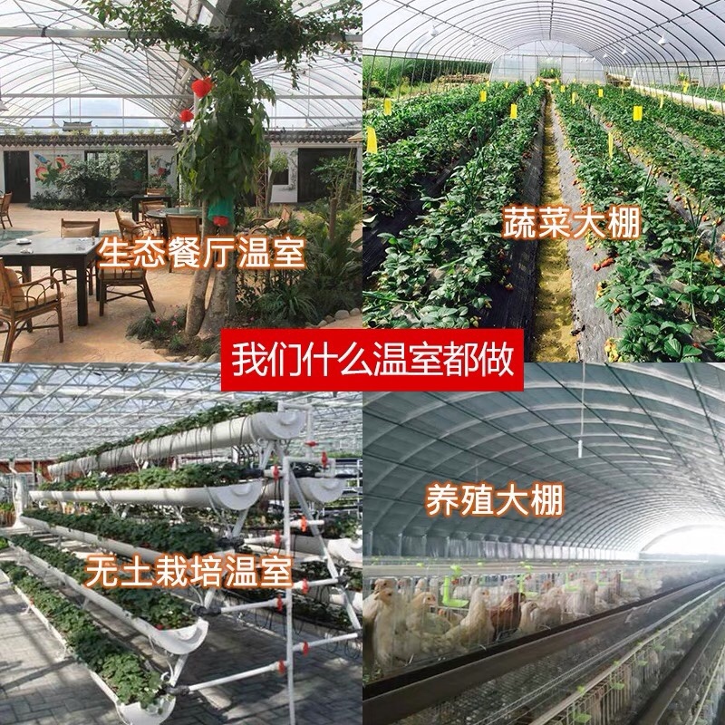 联动温室大棚简易蔬菜大棚养殖大棚玻璃大棚等各种温室大棚