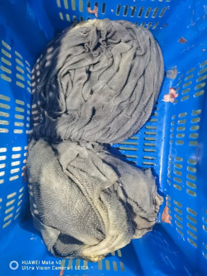 河北大厂牛百叶，产地直发，品质保证，量大从优。