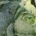 湖北恩施利川齐岳山