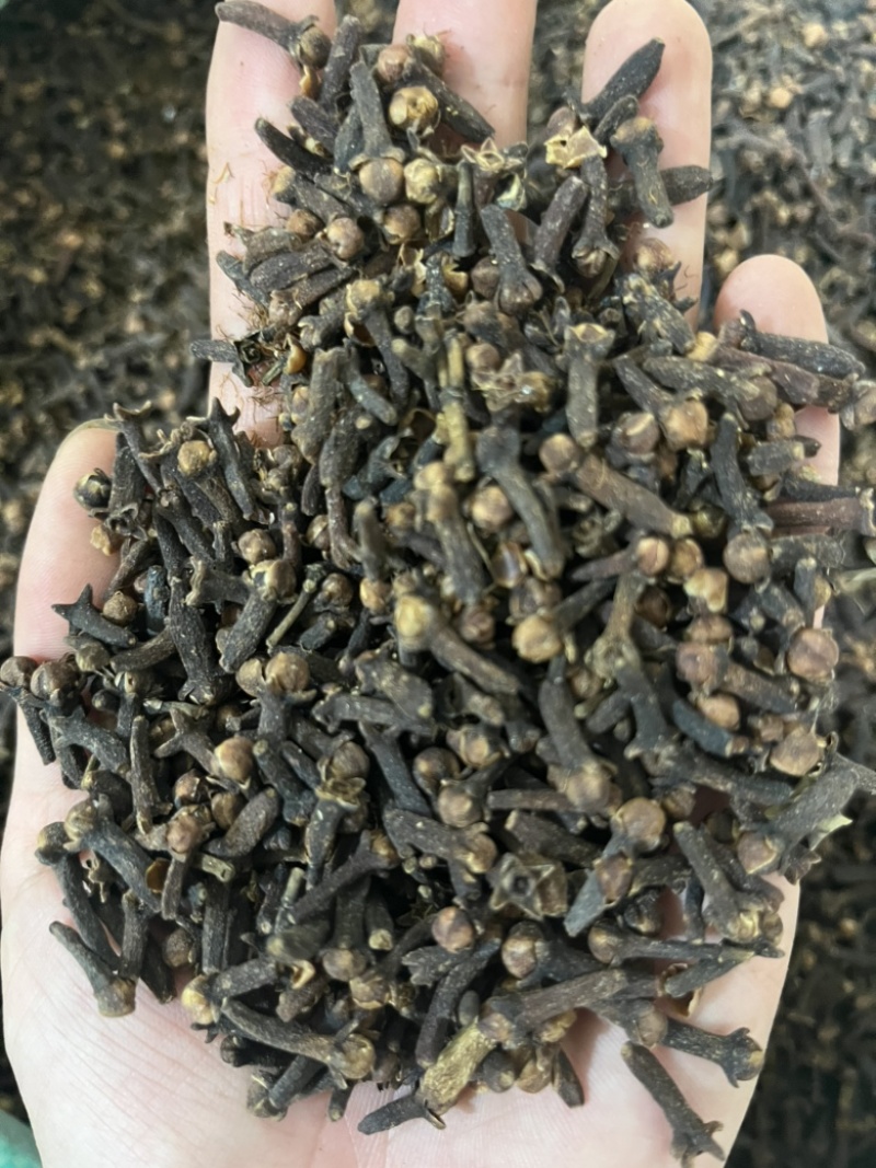【文斌药业】公丁香大红丁香味道浓郁调料批发，