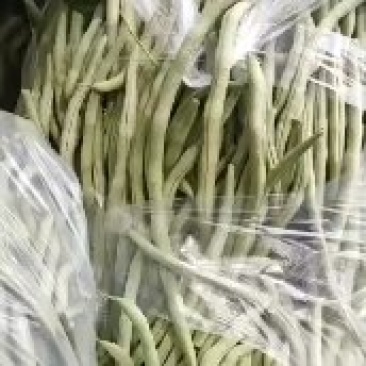 豆王大量上市