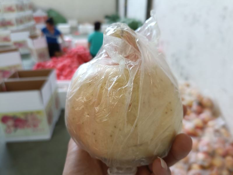 云南蒙自甜石榴，种植面积上万亩，蒙自种植石榴有上百年。